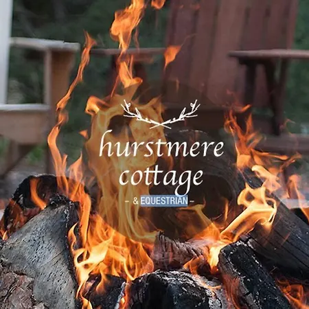 Hurstmere Cottage, Matakana Exterior foto