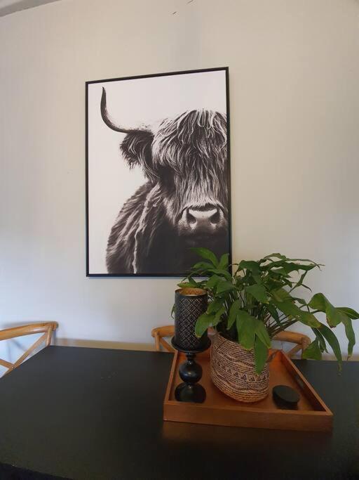 Hurstmere Cottage, Holiday home