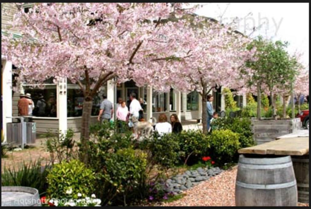 Hurstmere Cottage, Holiday home *