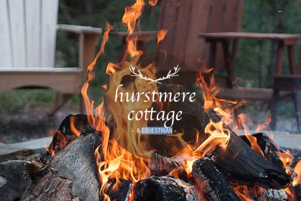Hurstmere Cottage, * Matakana